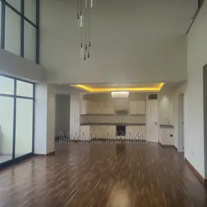 4bdrm Penthouse in Addis Abeba, Bole for rent