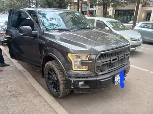 Ford F-150 2017 Gray