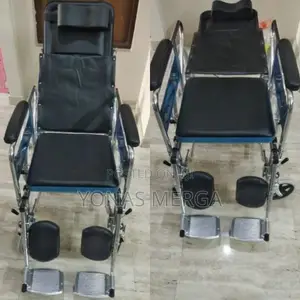 Recliner Wheelchair With Commode, Type of Wheelchairs: