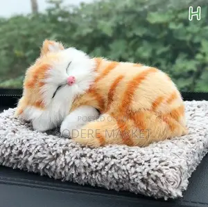 Stimulating Cute Cat Toys