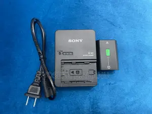 Sony Camera Battery and Charger Np-Fz100