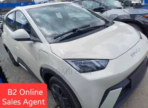New BYD Seagull 2025 White