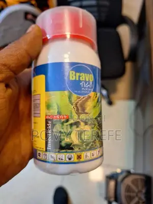 Insecticide ፀረ-ነፍሳት