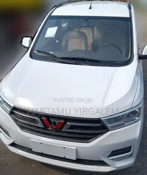 Wuling Hongguang S1 2023 White