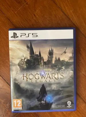 Hogwarts Legacy Ps5