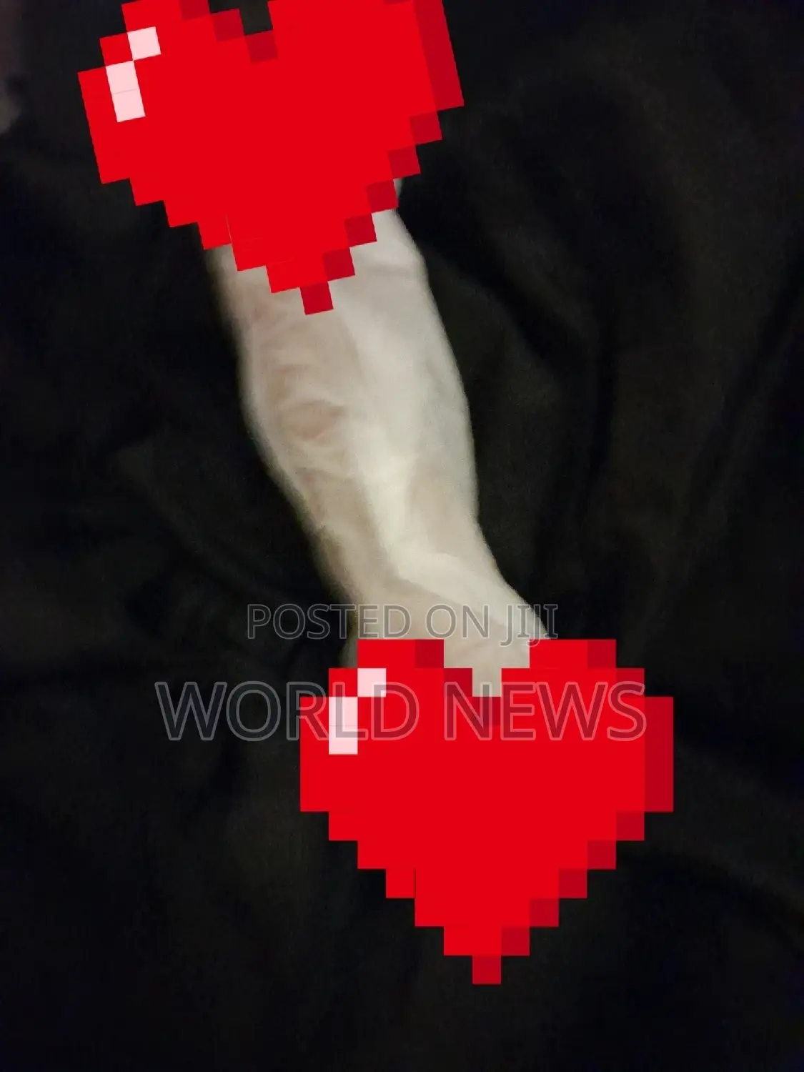Amazing Dildo