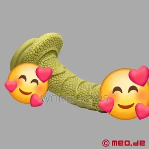 Realistic Silicone Dildo