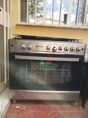 Femaslux 6-trays Standing Oven