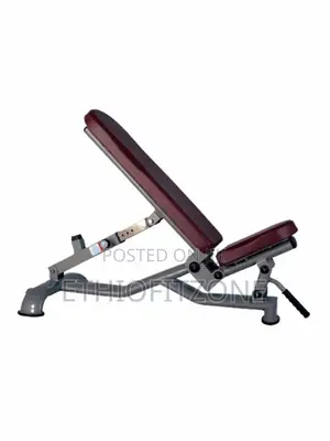 Gym Sport Bench
