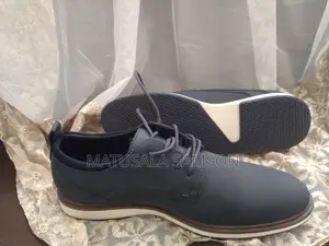 Aldo Men's Classic Shoes