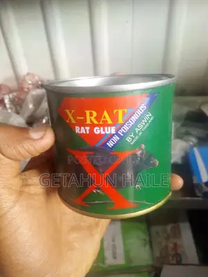 X-rat የአይጥ ማጣበቂያ