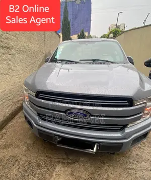 Ford F-150 2020 Gray