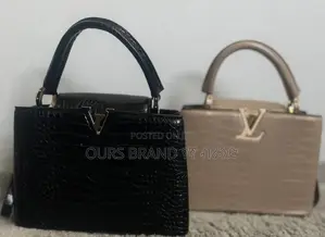 Louis Vuitton Origional Master Quality Luxurious Bag