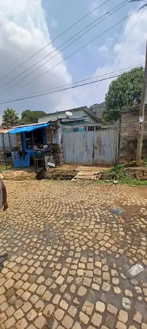የሚሸጥ 250ካሬ ሜ የድሮ ቪላ ቤት