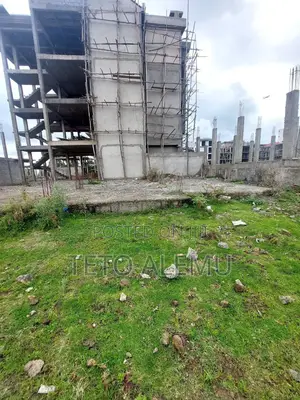 አራብሳ ዲያስፖራ የሚሸጥ መሰርት የወጣ ቦታ