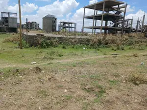 የሚሸጥ መሰርት በተዎዳጁ አራብሳ ዲያስፖራ