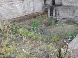 የሚሸጥ መሰርት አራብሳ ዲያስፖራ