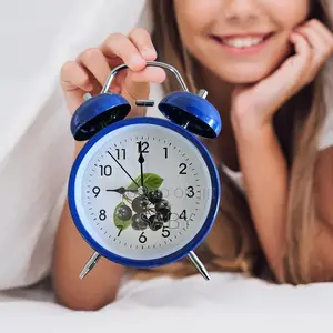 Portable Mini Alarm