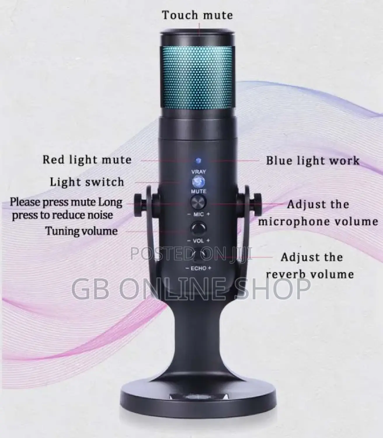 RGB Mc-Pw9 Usb Recording Microphone