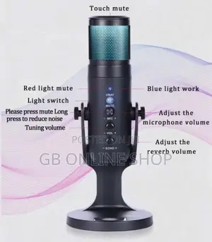 RGB Mc-Pw9 Usb Recording Microphone