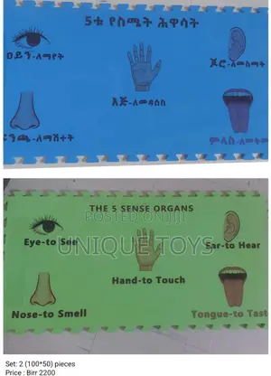 Educational, Comfy, and Joyful Puzzle Mats