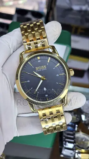 Boss Classy Mens Watches