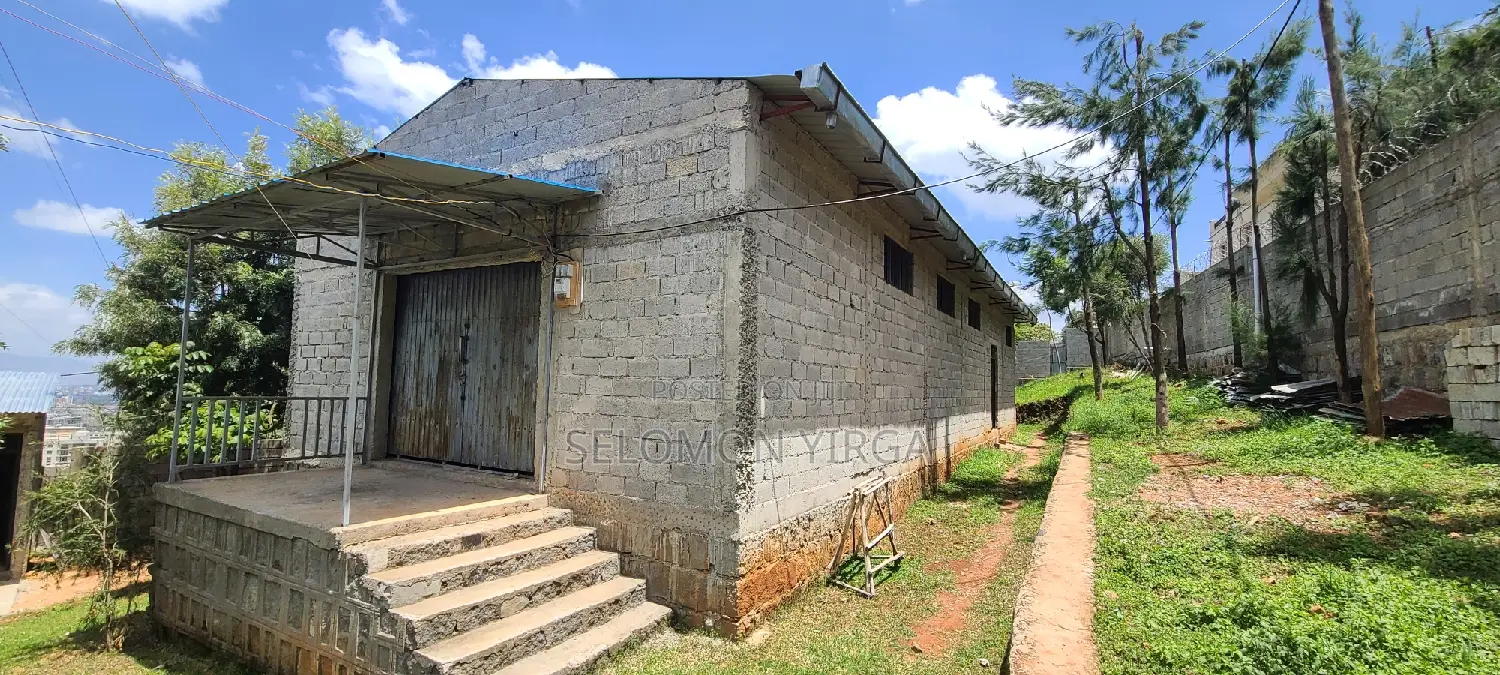 Scope of Warehouse for Rent
