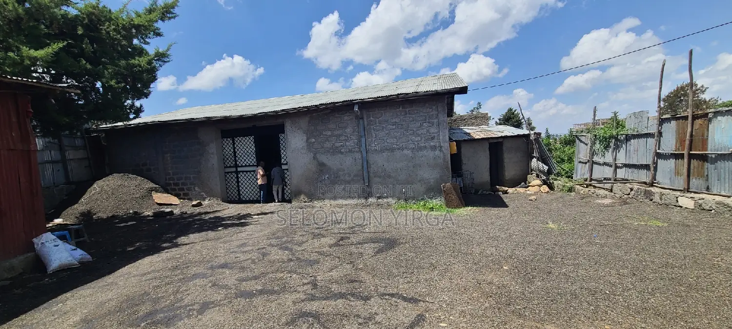 A Warehouse for Rent in the Area