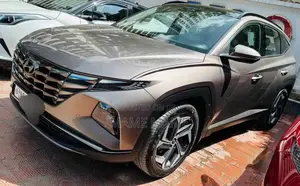 New Hyundai Tucson 2021 Gray