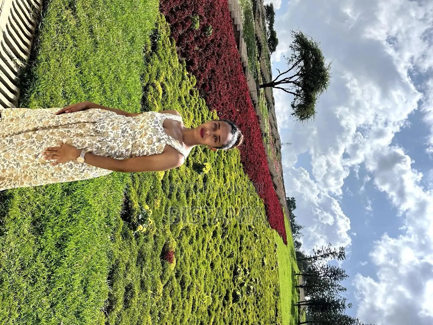 Women's Dress