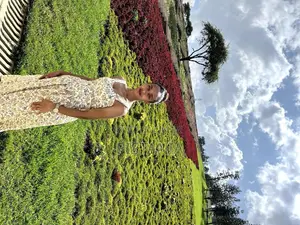 Women's Dress