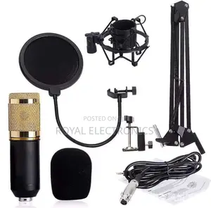 Legendary Vocal Professional Condenser Microphone