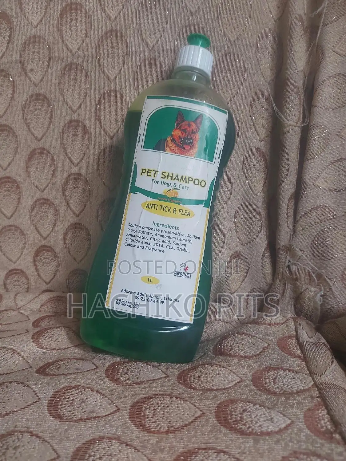 Shampoo for Your Dog