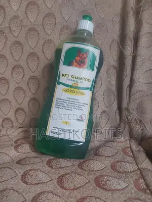 Shampoo for Your Dog