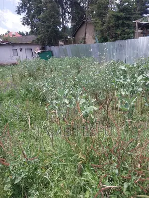 Furnished 1bdrm House in Yeka Kotobe for sale