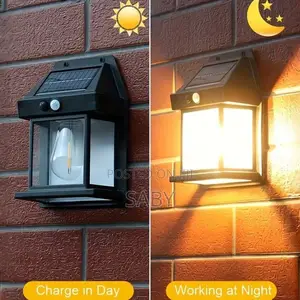 Solar Induction Wall Lamp