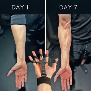 Forearm Exercises