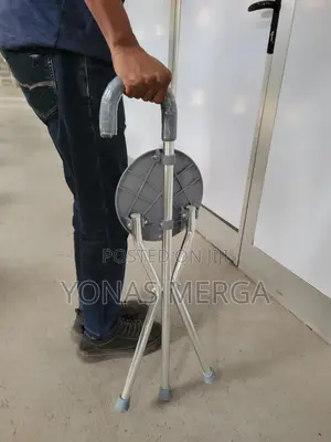 Walking Stick With Chair了walking Stick三walking Stick一ከዘራ/ከዘራ