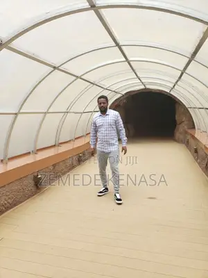 Freelance Contact at Sam_freelance(Telegram