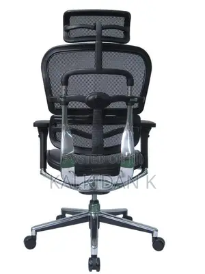 Erginomic Managerial Chair