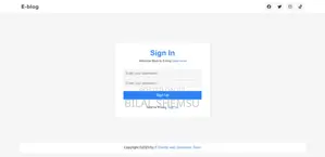 Website Development Service