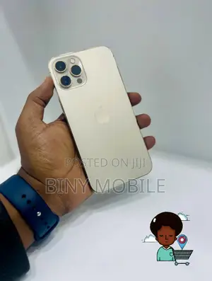 Apple iPhone 12 Pro Max 256 GB Gold