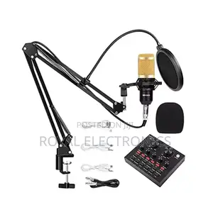 Original Legendary Vocal Condenser Microphone M800-V8