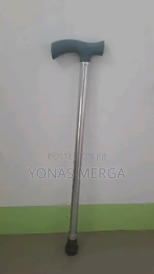 Walking Stick扯walking Stick垓walking Cane丸walking Stick 川ከዘራ