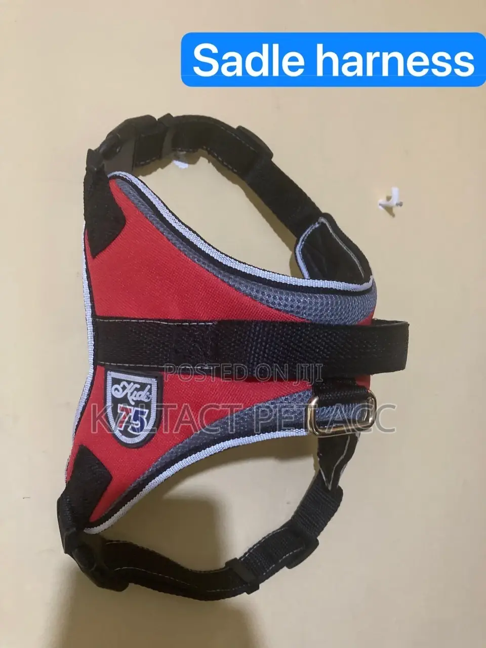 Dog Accessories