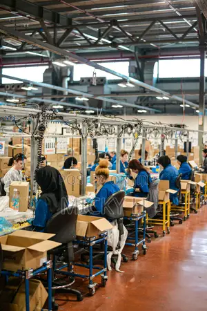 Garment Services