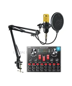 Legendary Vocal Condenser Microphone