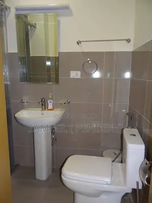 Furnished 3bdrm Apartment in Alsam Real Estate, Lideta for sale