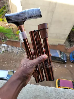 Walking Stick闡walking埆ከዘራ+Maximum Load-Bearing 150kg/220lbs