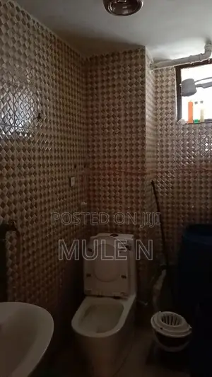 Furnished 3bdrm Condo in Abado Condominium, Yeka for sale